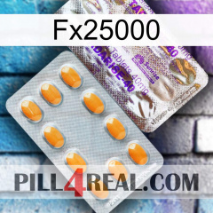 Fx25000 new12